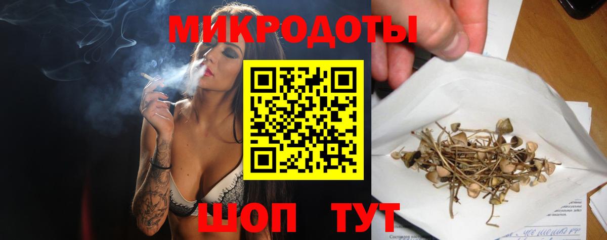 Псилоцибиновые грибы Psilocybe Тверь